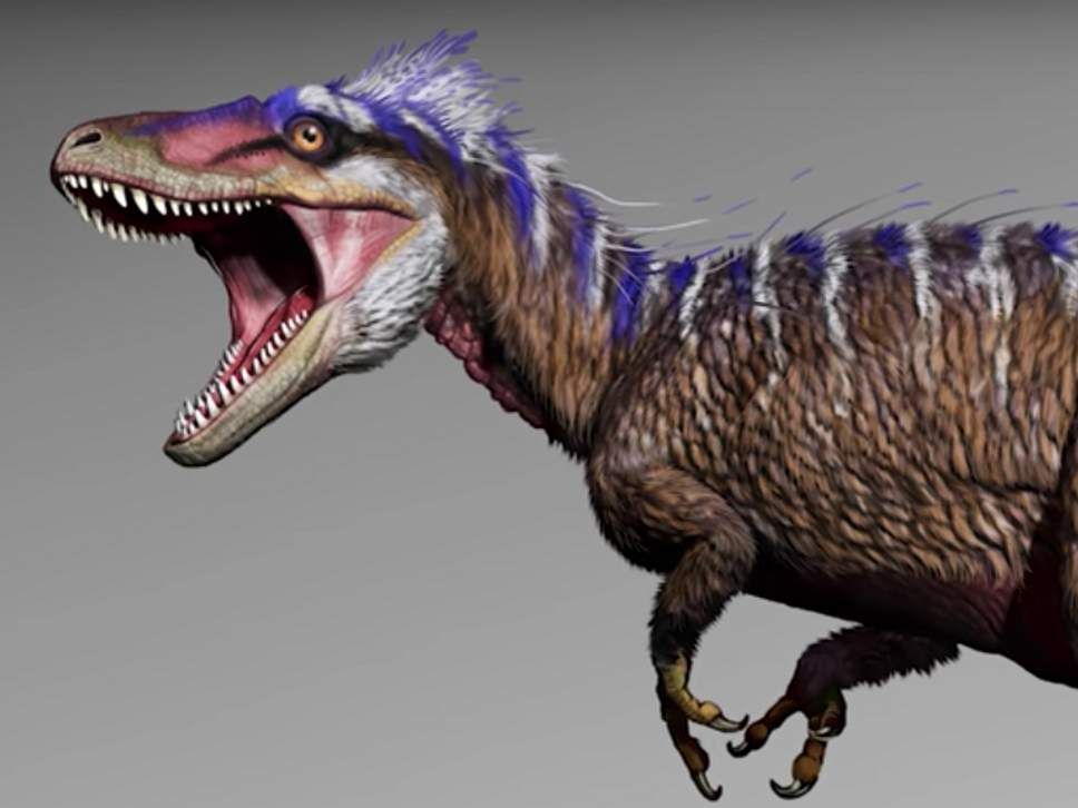 T. rex ve diğer dinozor dişlerinin yeni analizi, yeme alışkanlıklarına ışık tutuyor