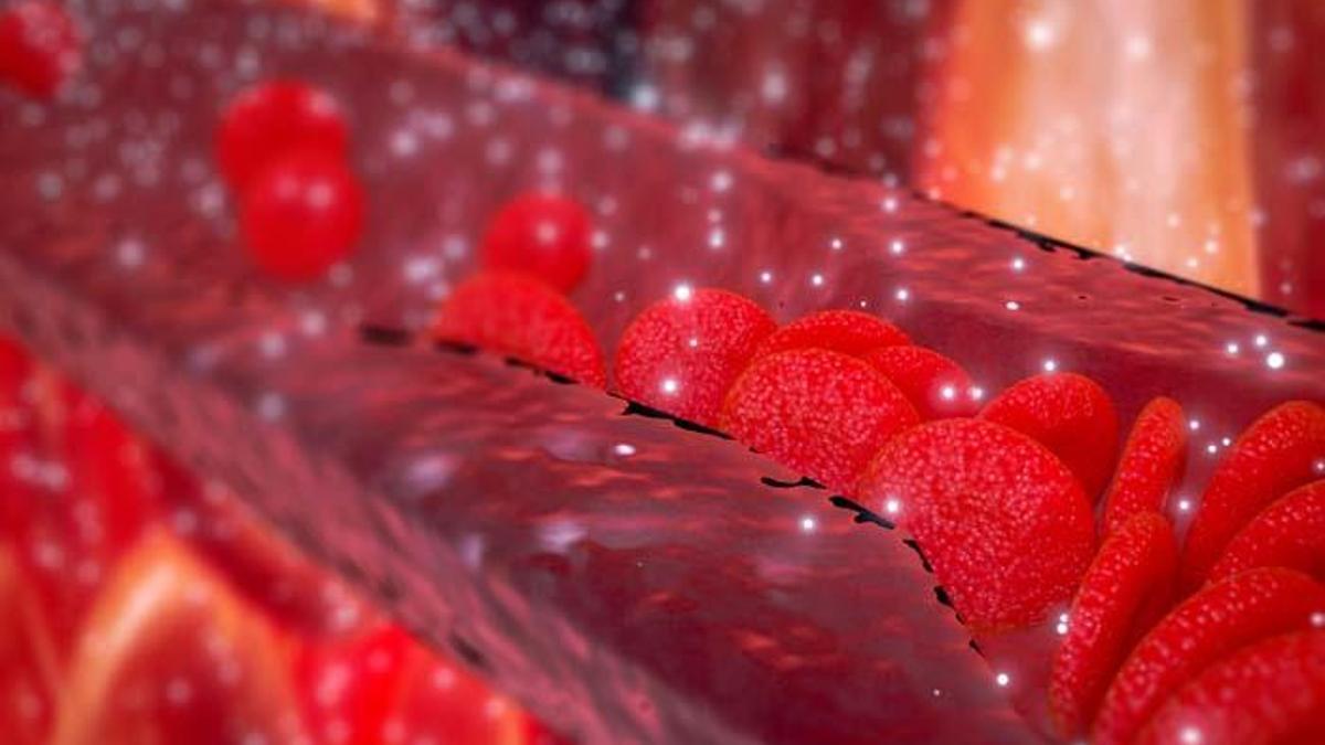 Laboratuarda yetiştirilen 'küçük kan damarları' felç ve vasküler demansın ana nedeni için potansiyel tedaviye işaret ediyor